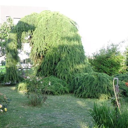 Apartments Ribic Umag Rum bild