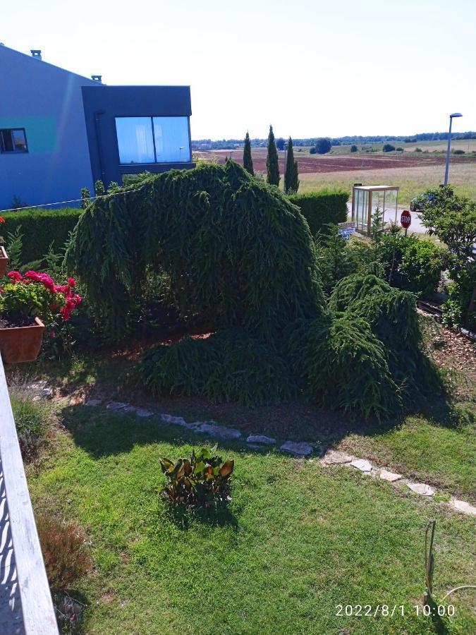 Apartments Ribic Umag Exteriör bild