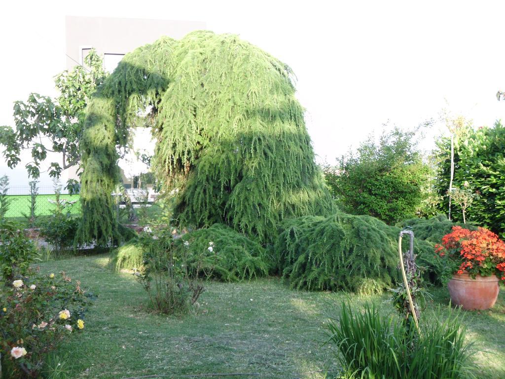 Apartments Ribic Umag Rum bild